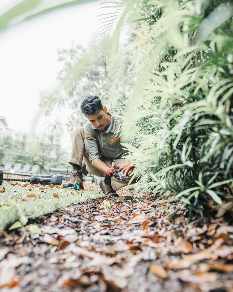 Technician treating landscaping and yard to control mosquitoes
