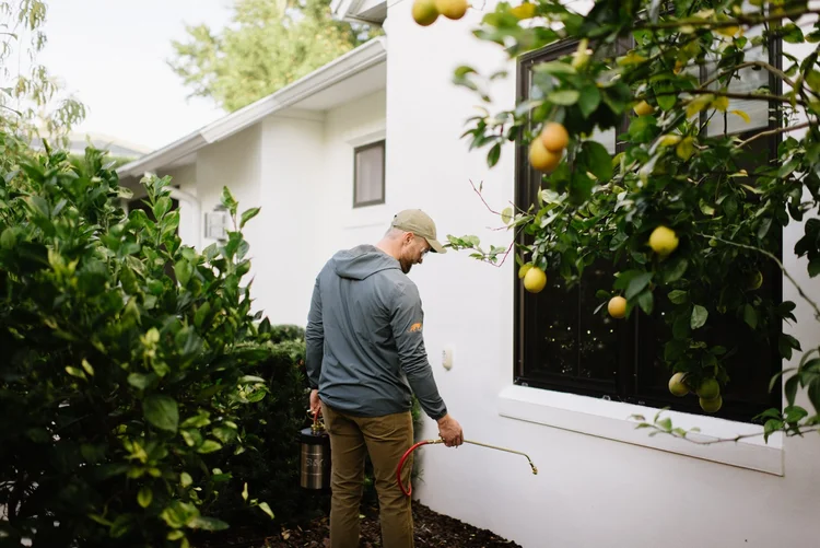 Panther Pest Control technician applying exterior treatment near landscaping